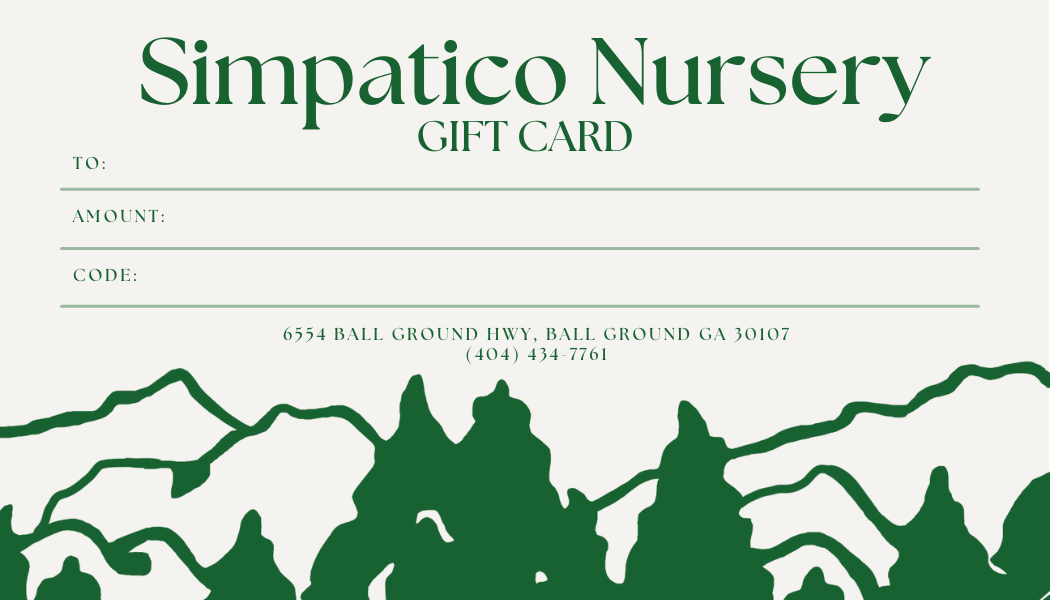 Simpatico Nursery Gift Card - Simpático Nursery